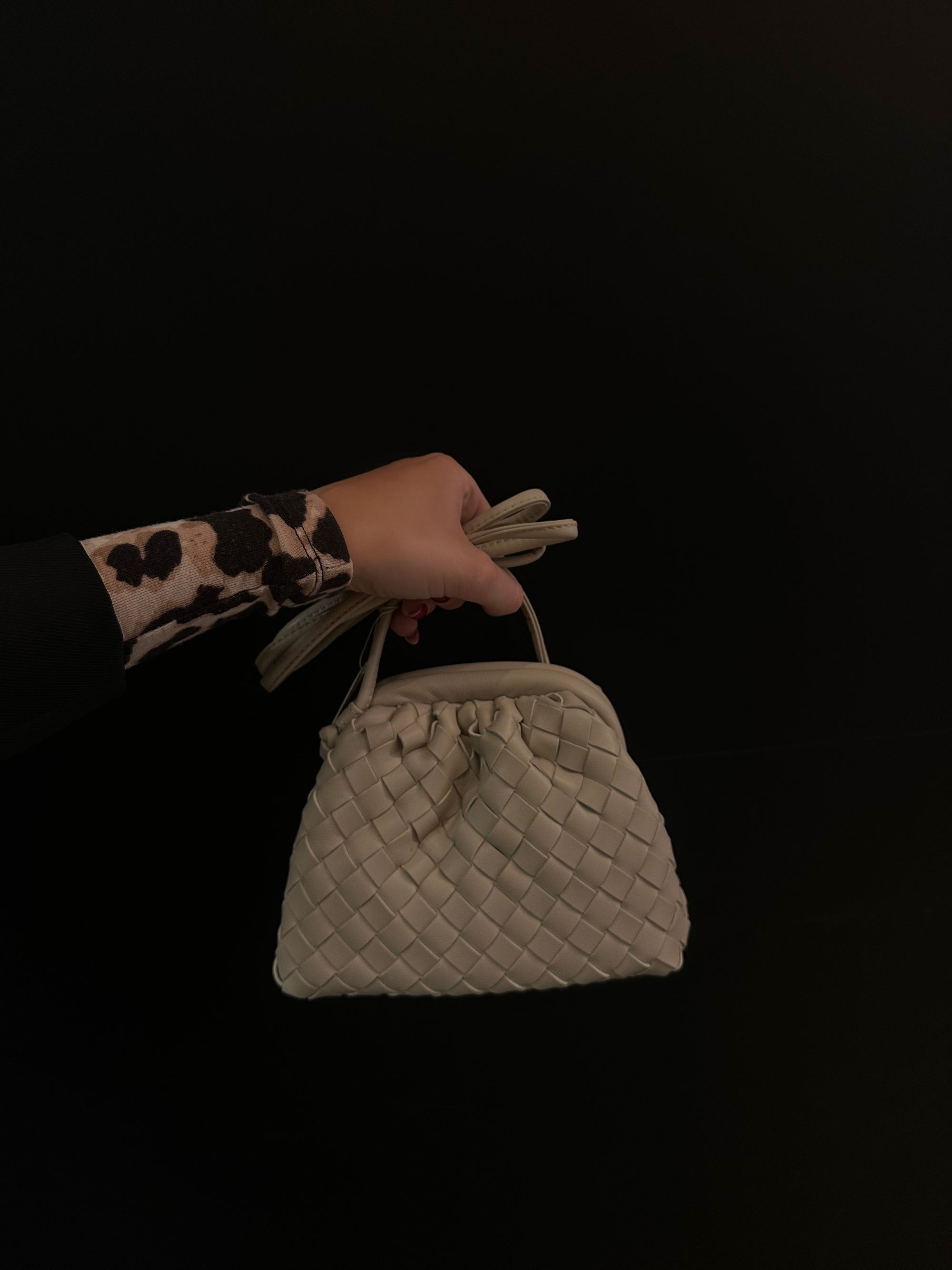 BOW19 - Dumpling Braided Bag